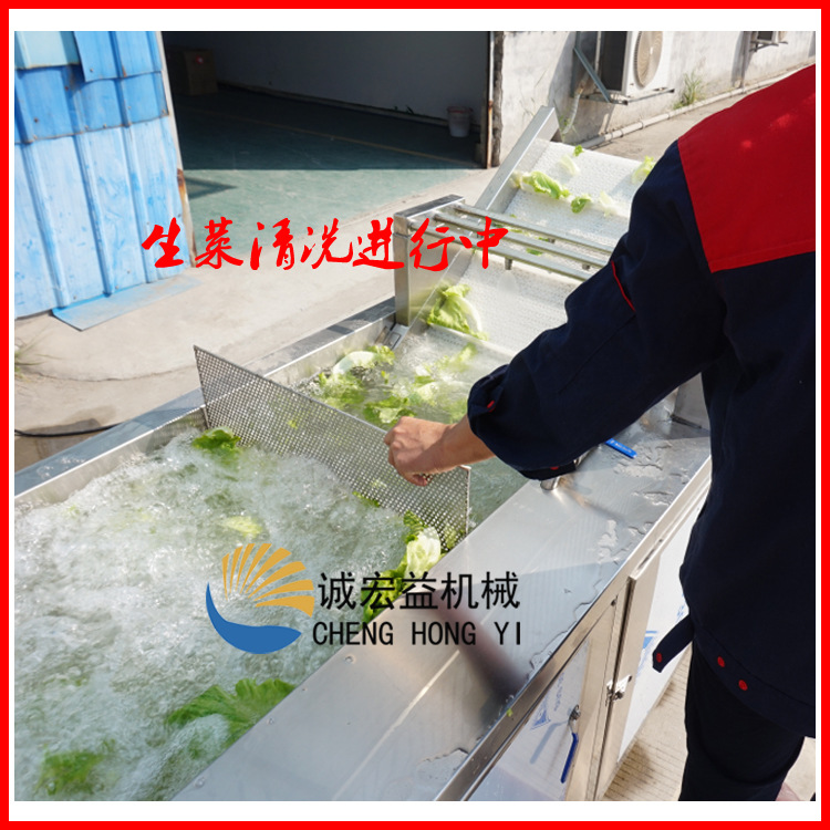 暢銷 商用大型氣泡臭氧洗菜機(jī) 蒜臺(tái)/山芹菜清洗機(jī) 現(xiàn)貨供應(yīng)