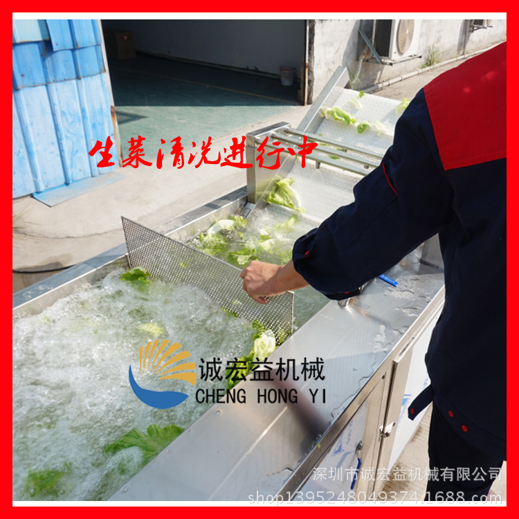 暢銷 商用大型氣泡臭氧洗菜機(jī) 蒜臺(tái)/山芹菜清洗機(jī) 現(xiàn)貨供應(yīng)