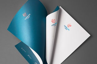 長(zhǎng)帆集團(tuán)企業(yè)形象設(shè)計(jì)與國內(nèi)貿(mào)易代理服務(wù)的整合策略